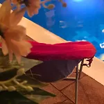 Rosa Blu 4*