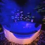 Rosa Blu Tirana